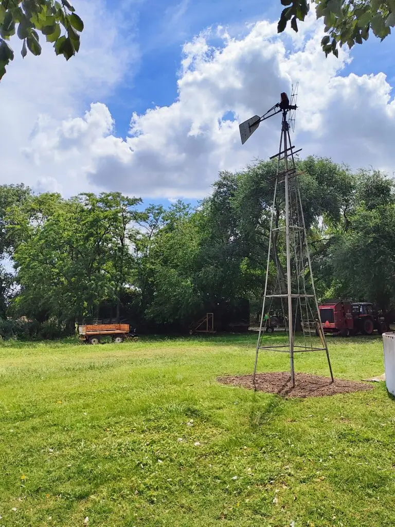 Mudanza de molino al sector verde del barrio La Eugenia.