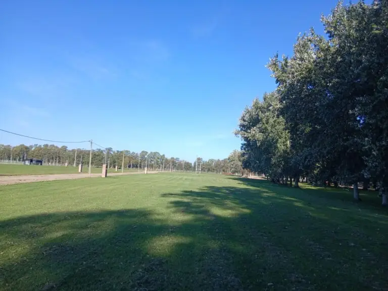 Vista de los lotes con fondo a la plaza desde el otro lado.